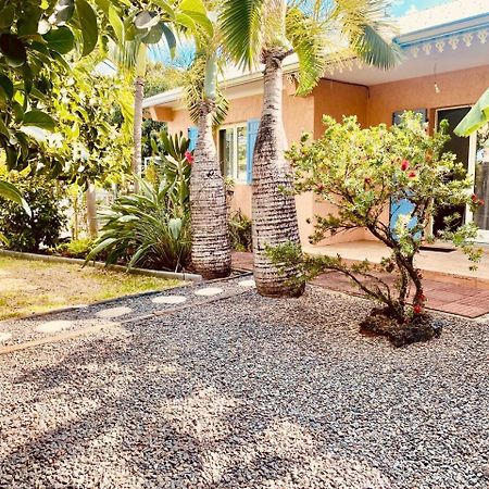 L'Oasis Saint Pierroise Et Son Jacuzzi Vila Exterior foto